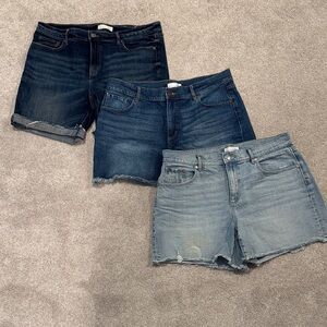 Bundle of (3) Jean Shorts - The Loft- size 12